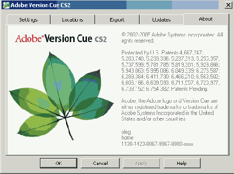 Рабочее пространство программы Version Cue